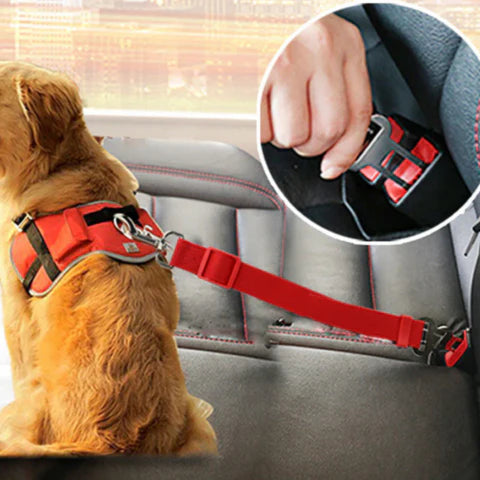 Ceinture De Sécurité Pour Chien – Voyages En Toute Sérénité
