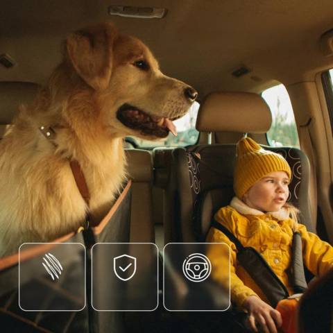 Bilstolsöverdrag för hund — Komfort & Säkerhet i vardagen