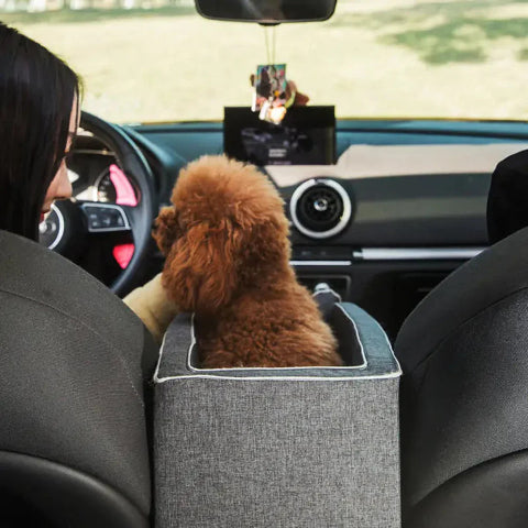 Cestovní auto koš pro psa – ideální pro malé společníky 