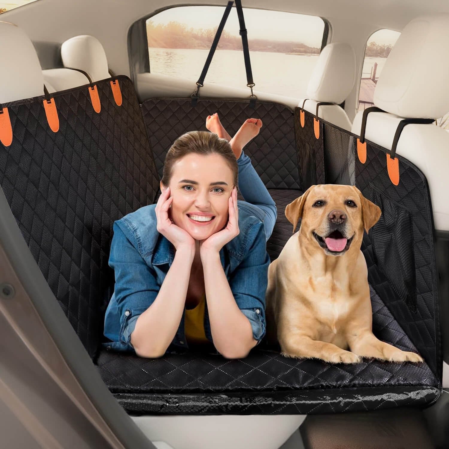 Animali & Viaggio 
