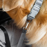 Siège Auto Pour Chien — Voyagez Ensemble En Toute Sécurité